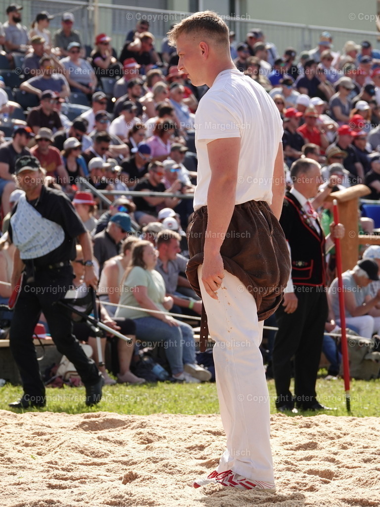 DSC06884 | Schwingen - Realisiert mit Pictrs.com