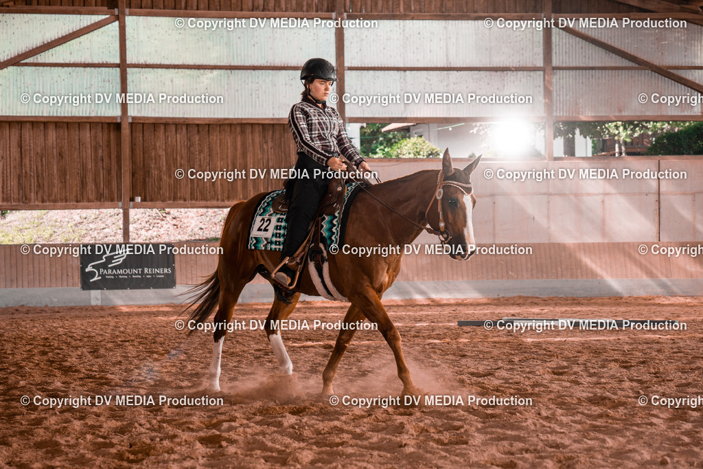 NE200251 | dv-media-shop - Realisiert mit Pictrs.com