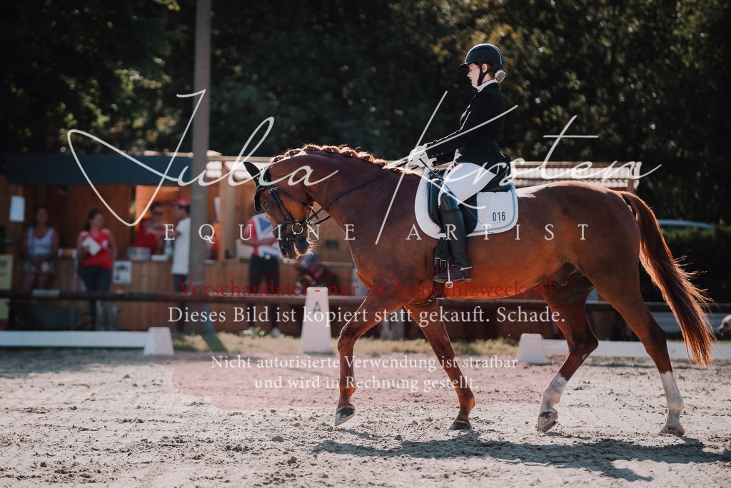 DSC_0423 | Pferde- und Turnierfotografie in Westsachsen. Pferdeportraits, Auftragszeichnungen und intuitive Kunst.