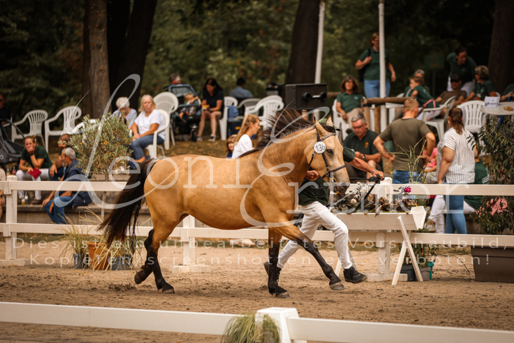 04.So00090 | Leoni Ertmer Photography - Realisiert mit Pictrs.com