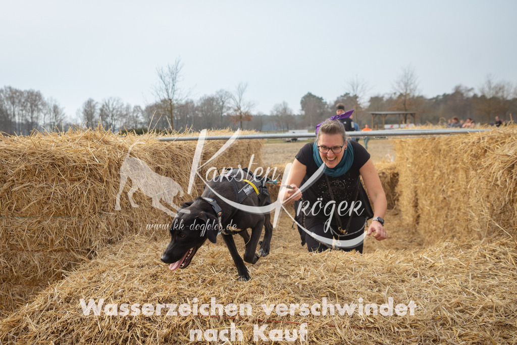 1041_ZZ97727 | kk-dogfotos