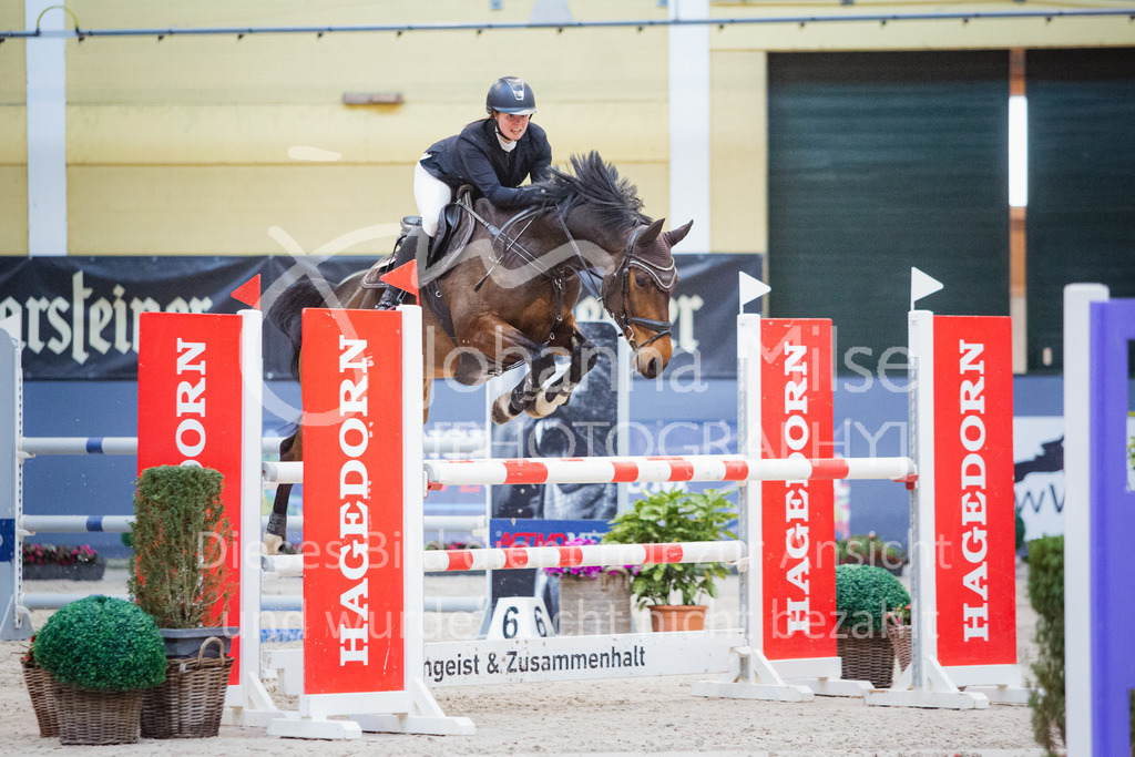 221112_Warstein_L-Spr-259 | Deine schönsten Turniermomente als professionelle Fotos! Entdecke hochwertige Pferdesport-Fotografie im Online-Shop. Jetzt Fotos finden & bestellen!