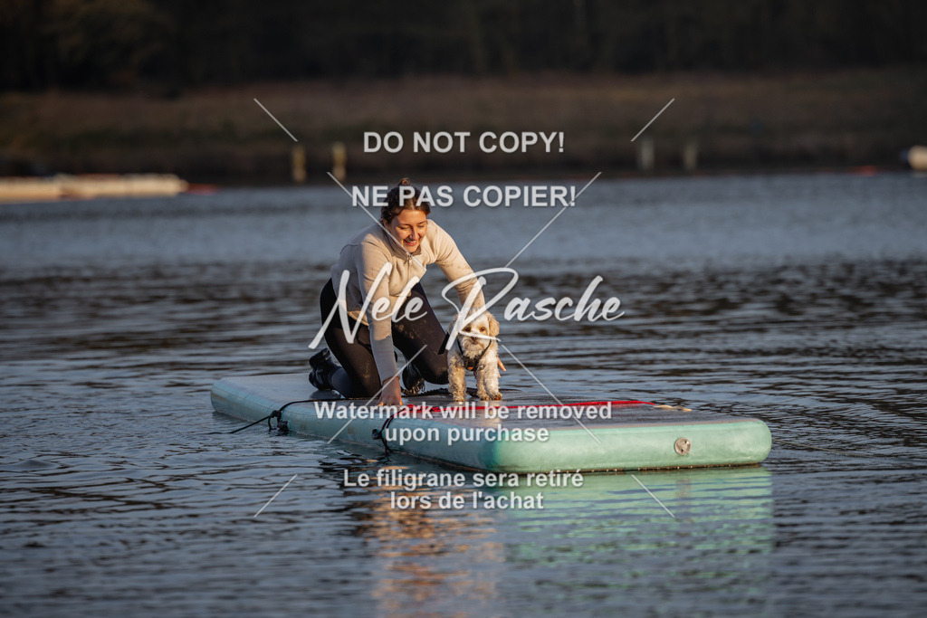 nelerasche_Hulsbeek_Sa1730-Ende_130 | nelerasche