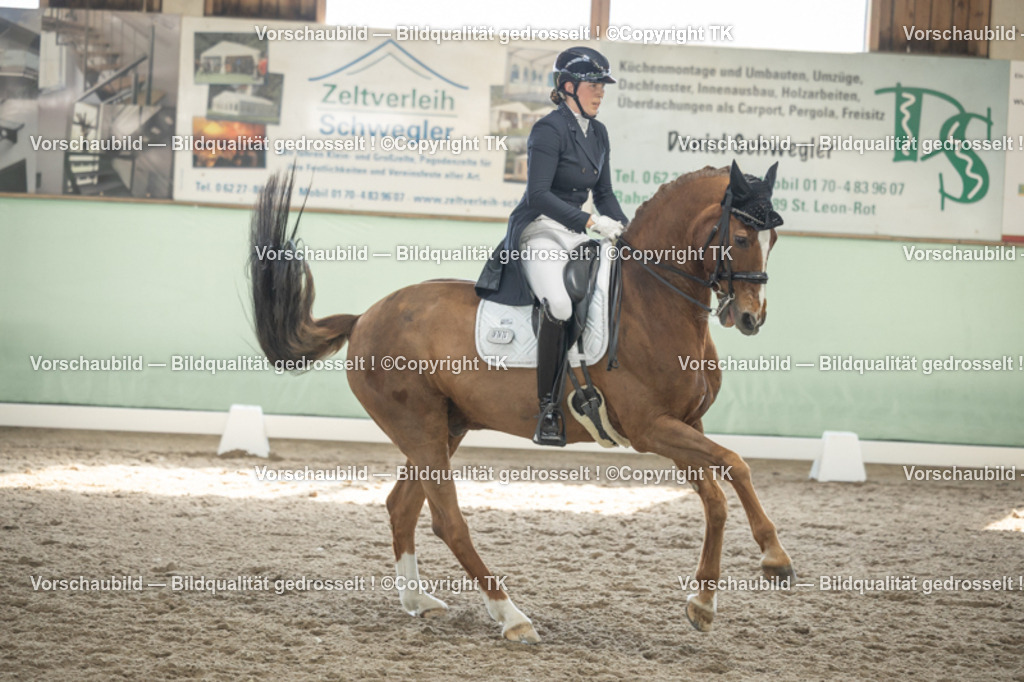 _D5A2467 | Emotionale Pferde- & People-Fotografie rund um Heidelberg, Leimen & Umgebung. Natürliche Fotos von Pferd, Mensch & Familie. Jetzt Termin sichern!