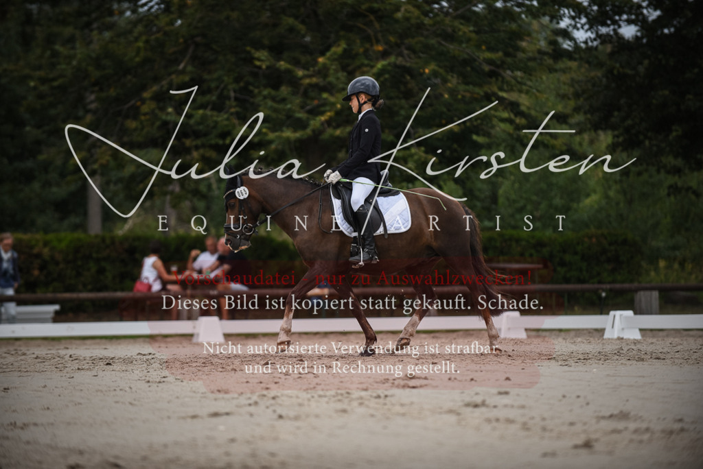 DSC_8139 | Pferde- und Turnierfotografie in Westsachsen. Pferdeportraits, Auftragszeichnungen und intuitive Kunst.