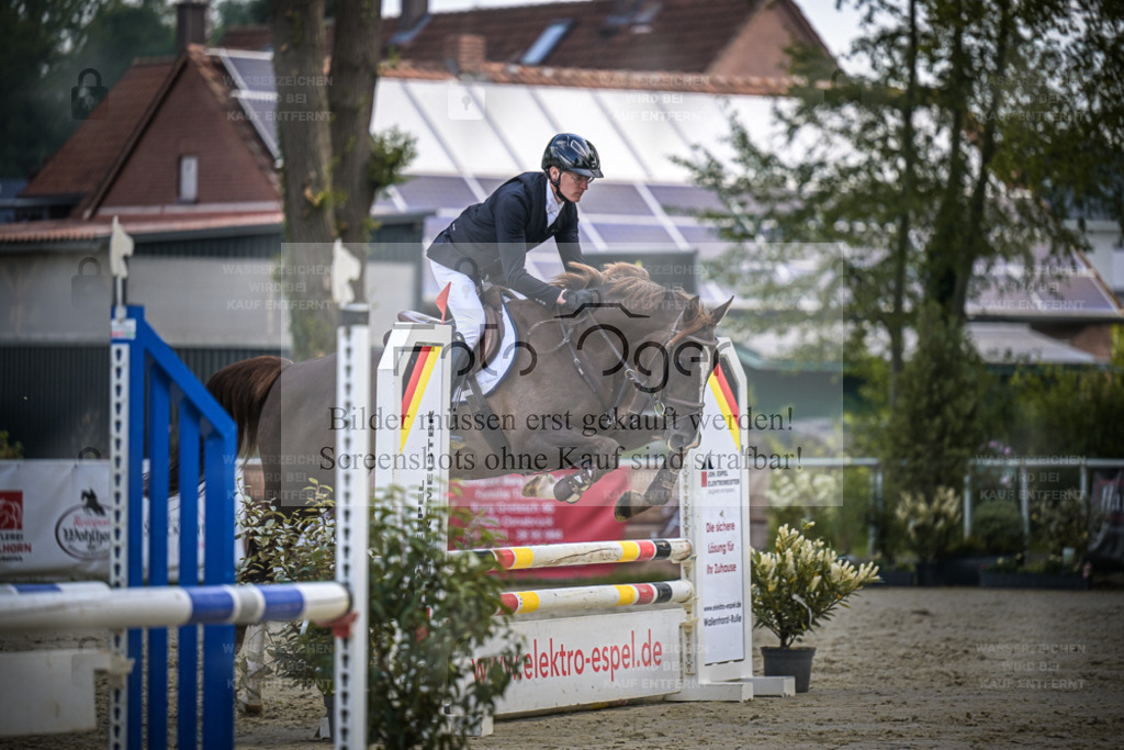 DOS_4466 | Entdecke hochwertige Reitturnierfotos von Foto Oger. Professionell, emotional und authentisch – jetzt Lieblingsmomente im Shop bestellen. - Realisiert mit Pictrs.com