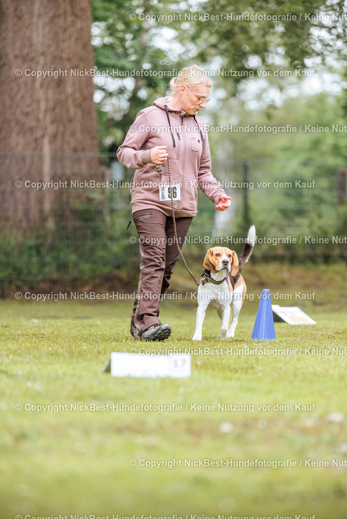 RO-Blumenthal-2026-Nickbest-Hundefotografie-4871 | Dein Hund! Dein Moment! Deine Erinnerungen! Hundefotografie in Bremen Blumenthal. Ich fange die besonderen Momente deines Vierbeiners ein – ob Indoor mit Blitzanlage oder in der freien Natur. Sicher dir dein Moment und dein Termin für eure Erinnerungen.
