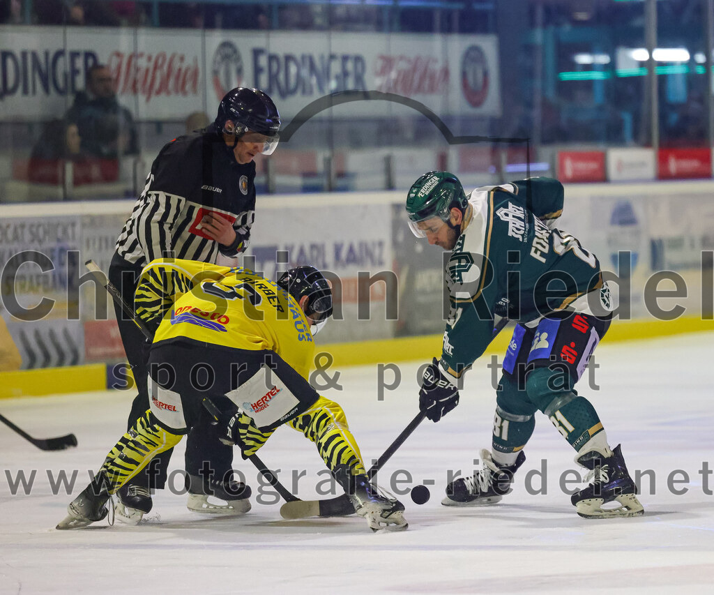 2025-12-28_083_TSV_Erding_gegen_onesto_Tigers_Bayreuth | Erding, Deutschland, 28.12.2025:Eishockey, Oberliga Süd 2025 / 2026, 31. Spieltag, TSV Erding gegen onesto Tigers Bayreuth, Endergebnis: 6:5 n.V.Alexander Barber (onesto Tigers Bayreuth, #6), Maximilian Forster (Erding Gladiators, #81)Foto: Christian Riedel / fotografie-riedel.net