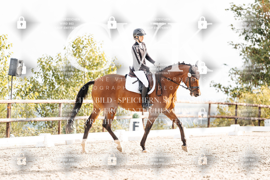 CK900921 | Turnierfotografie Pferdefotografie Trier Rheinland-Pfalz Pferdesport Reitsport Tierfotografie Sportfotografie Pferdevideo Pferdevideografie Equestrianvideography equestrianphotography  - Realisiert mit Pictrs.com