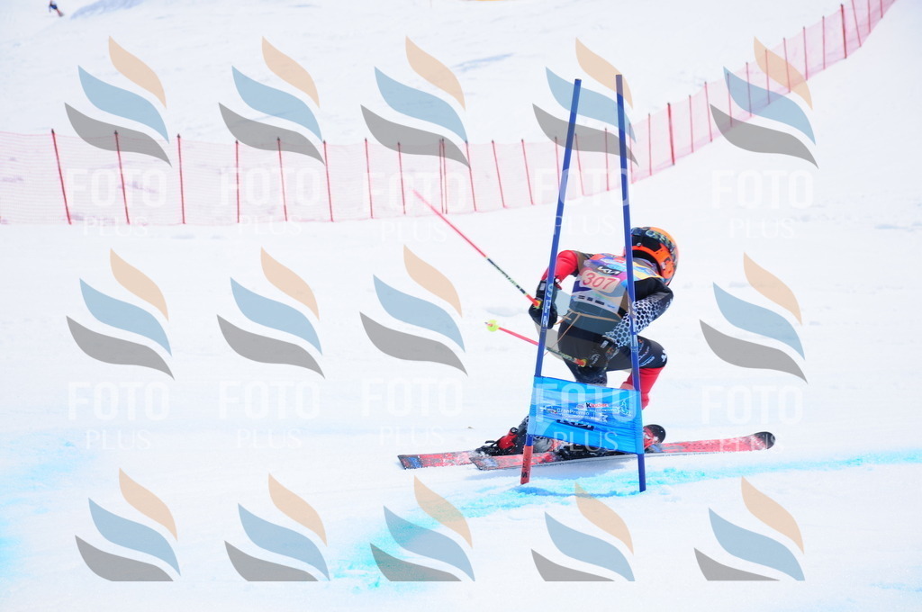 DSC_6733 | holidayphoto