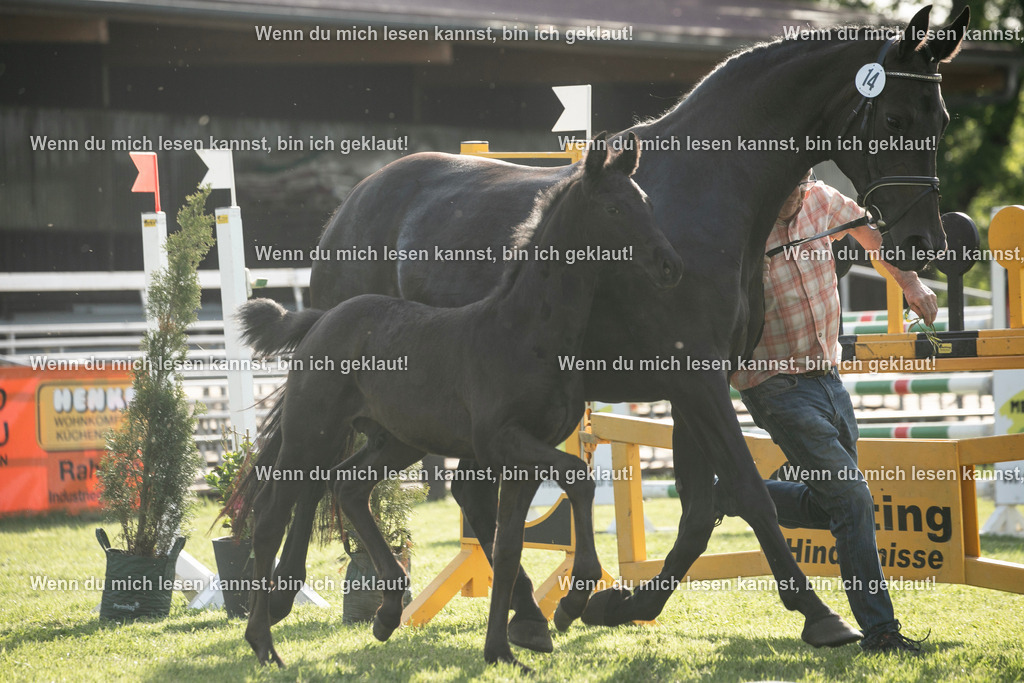 598A7242 | photographylinaismer - Realisiert mit Pictrs.com