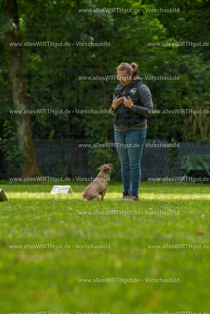 @allesWIRTHgut_Tierfotografie - www.allesWIRTHgut.de - 7R501993 | Professionelle Tierfotografie in Mönchengladbach von Daniel Wirth (allesWIRTHgut). Liebevolle & natürliche Bilder von Hunden & Katzen für unvergessliche Erinnerungen.