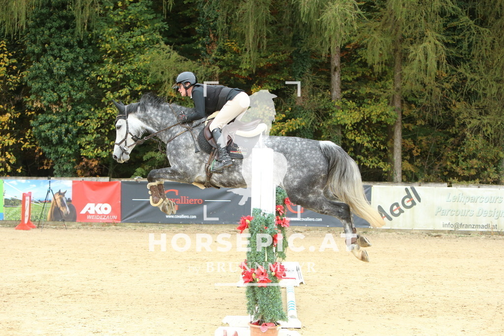 DL2Q6846 | Willkommen bei Brunnmayr - Design & Fotografie – Ihrem Spezialisten für Reitturniere und Pferdeveranstaltungen in Oberösterreich, Salzburg und Bayern! Seit über 17 Jahren sind wir leidenschaftlich dabei.
