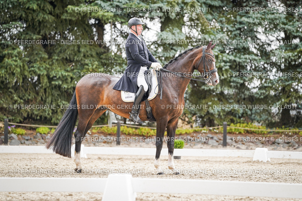 DSC06978 | Pferdegrafie