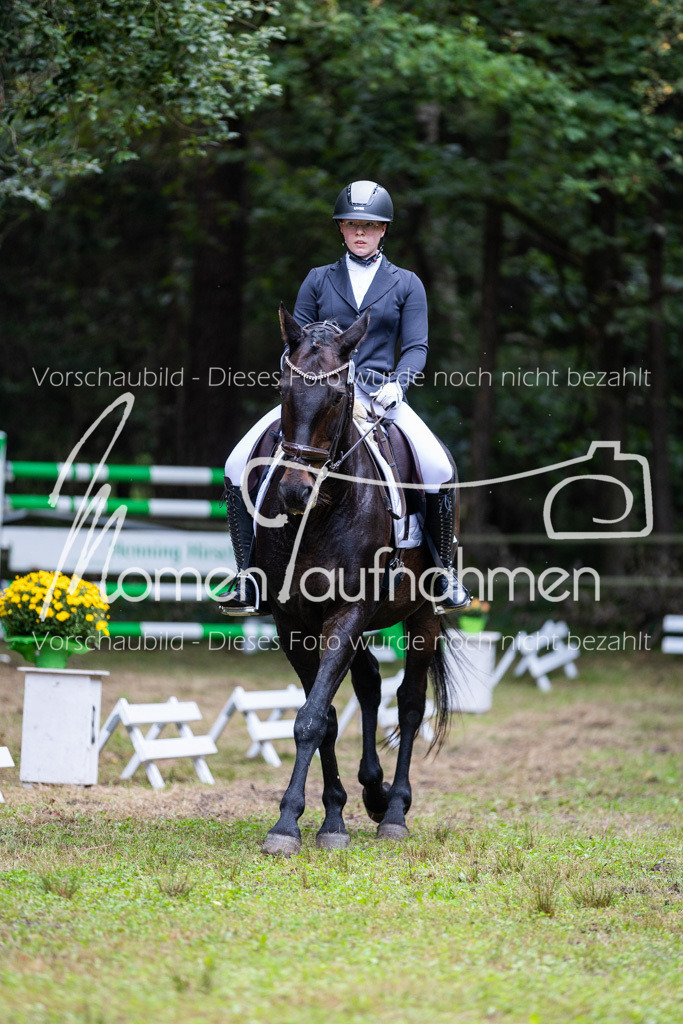 HB-A-Dressur-122 | MomenTaufnahmen Pferdesportfotos