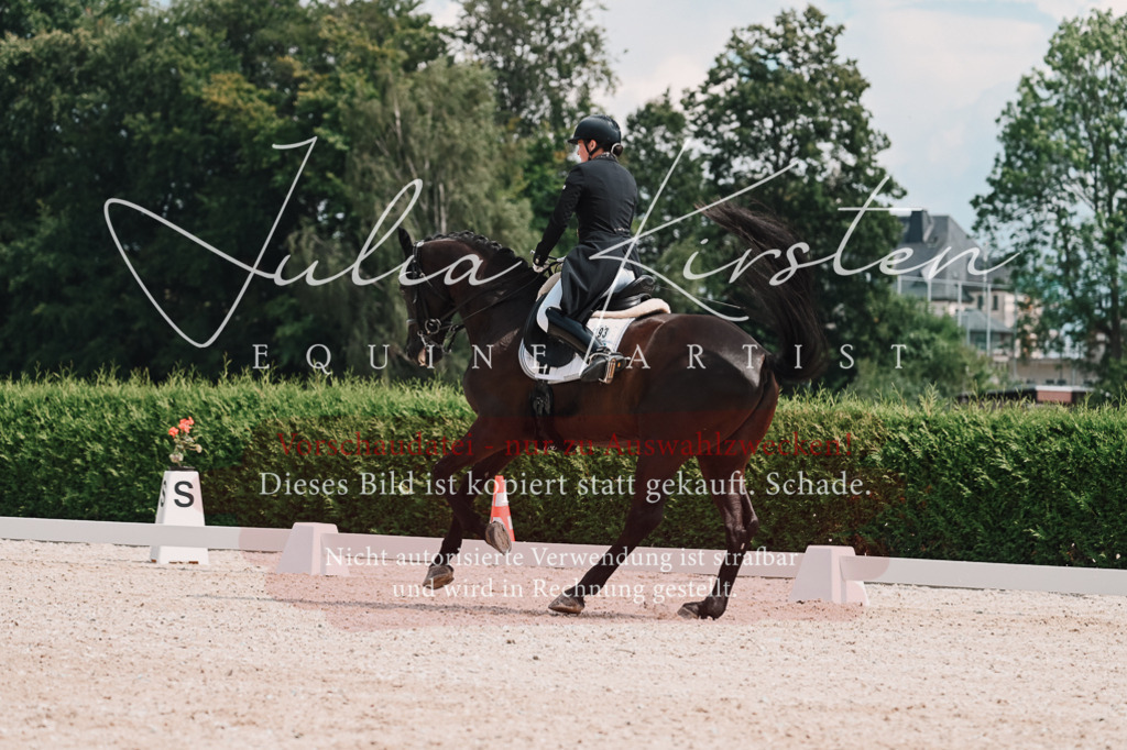 DSC_4271 | Pferde- und Turnierfotografie in Westsachsen. Pferdeportraits, Auftragszeichnungen und intuitive Kunst.