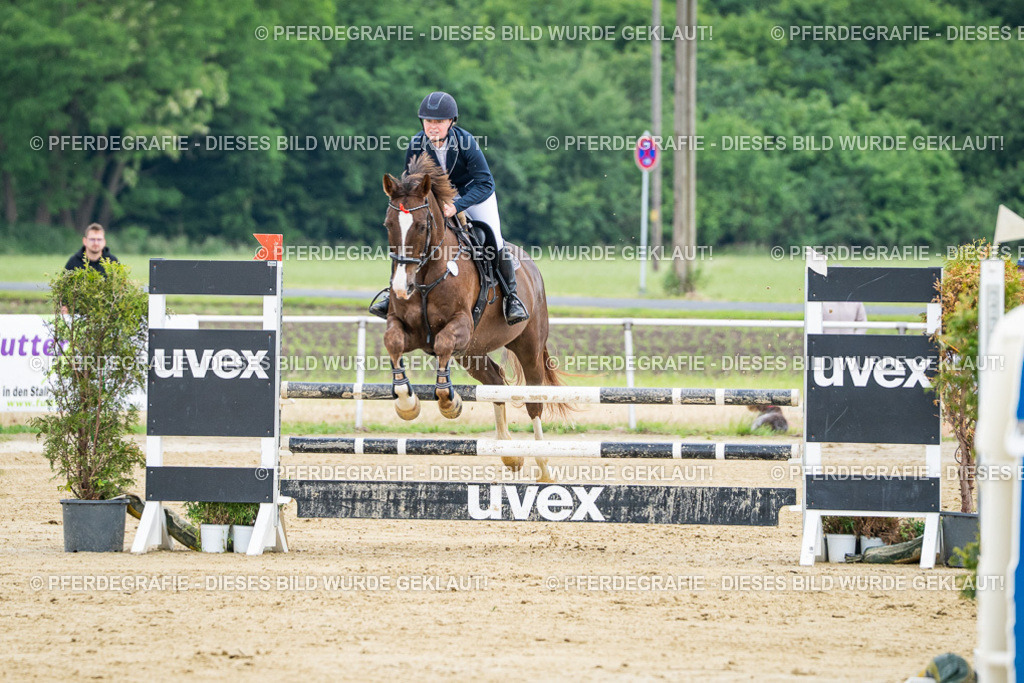 DSC03782 | Pferdegrafie