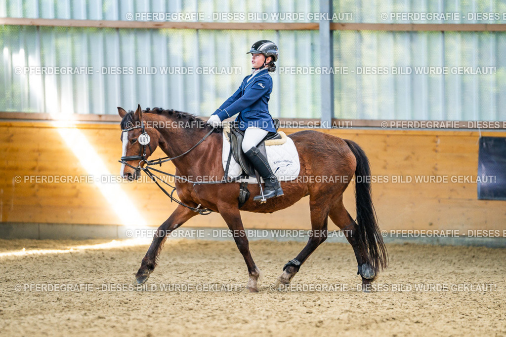 DSC02536 | Pferdegrafie