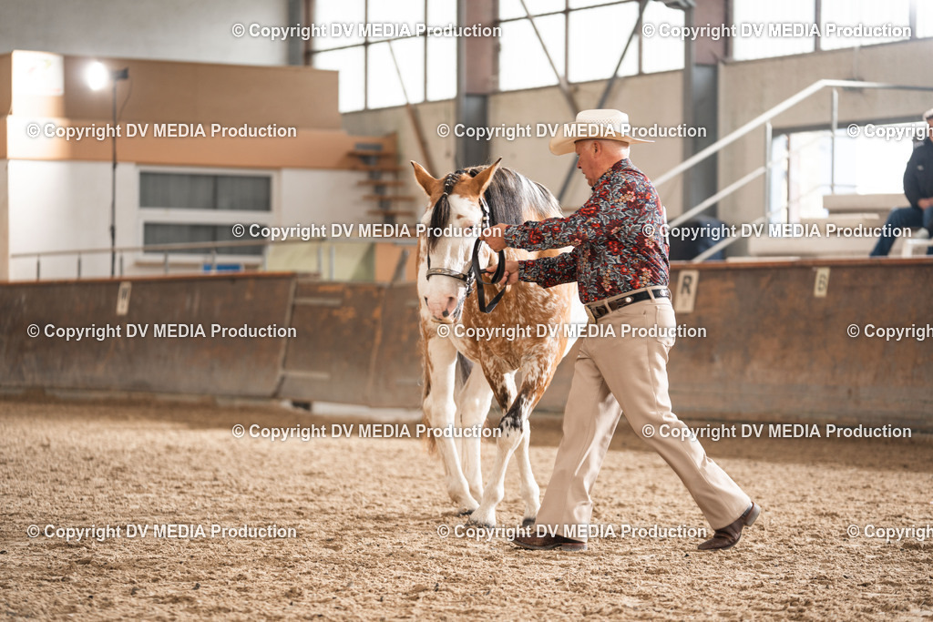 Heiligenwald Tag 2-358 | dv-media-shop - Realisiert mit Pictrs.com