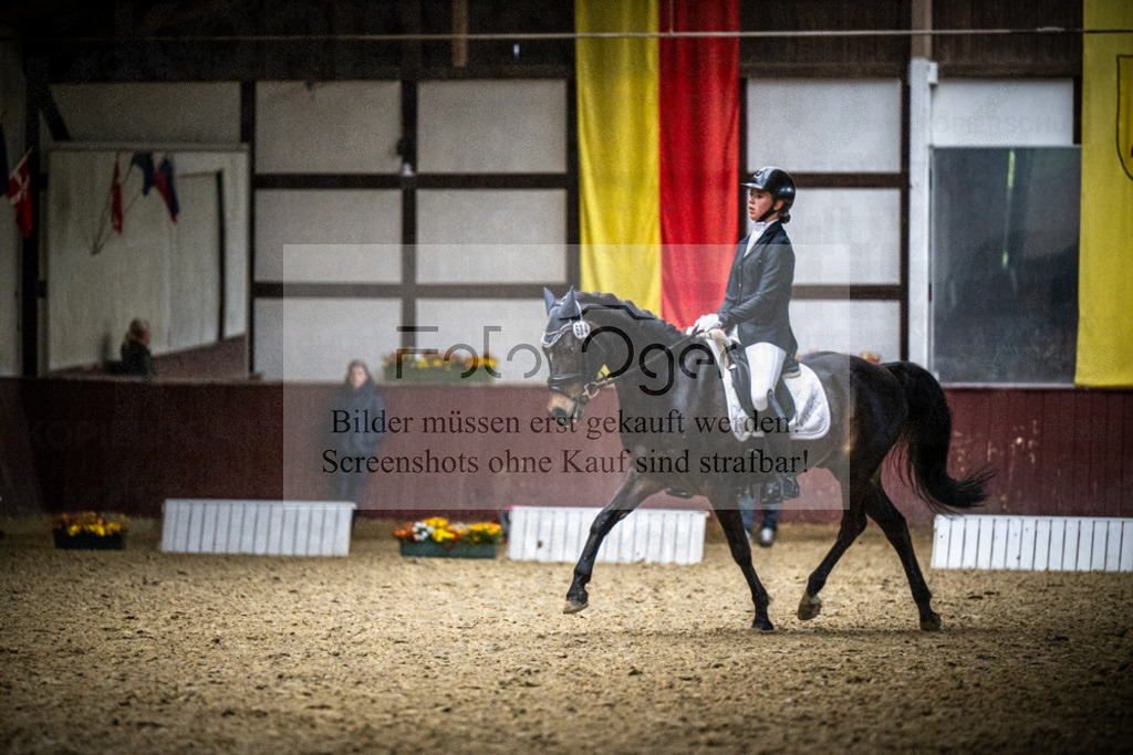 DOS_1303 | Reitturnier Lüdinghausen - Realisiert mit Pictrs.com