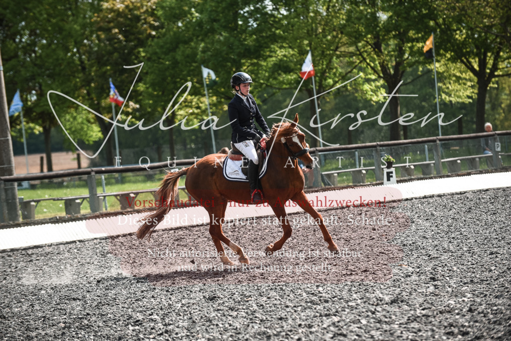 DSC_9049 | Pferde- und Turnierfotografie in Westsachsen. Pferdeportraits, Auftragszeichnungen und intuitive Kunst.
