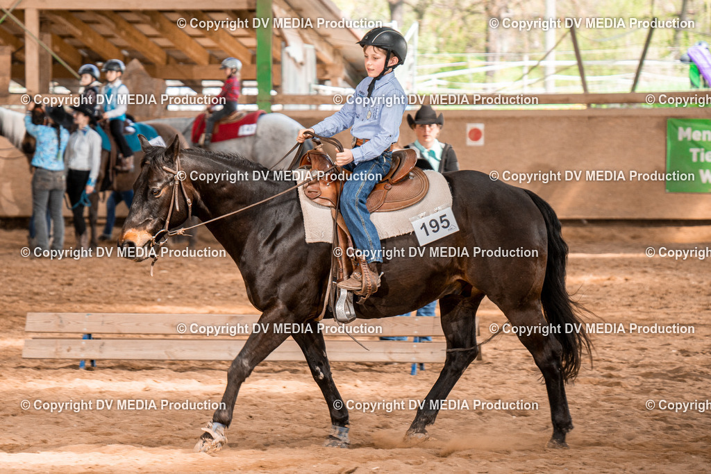 BAL02330 | dv-media-shop - Realisiert mit Pictrs.com