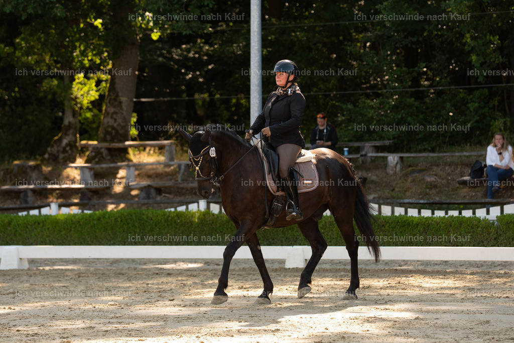 WA_DR_21_SinaFilmArt_IN01245 | working equitationturnier fotograf videograf stoibphotography marixx film working equitation deutschland reitsport turnierfotografie eventfotografie equestrian events
