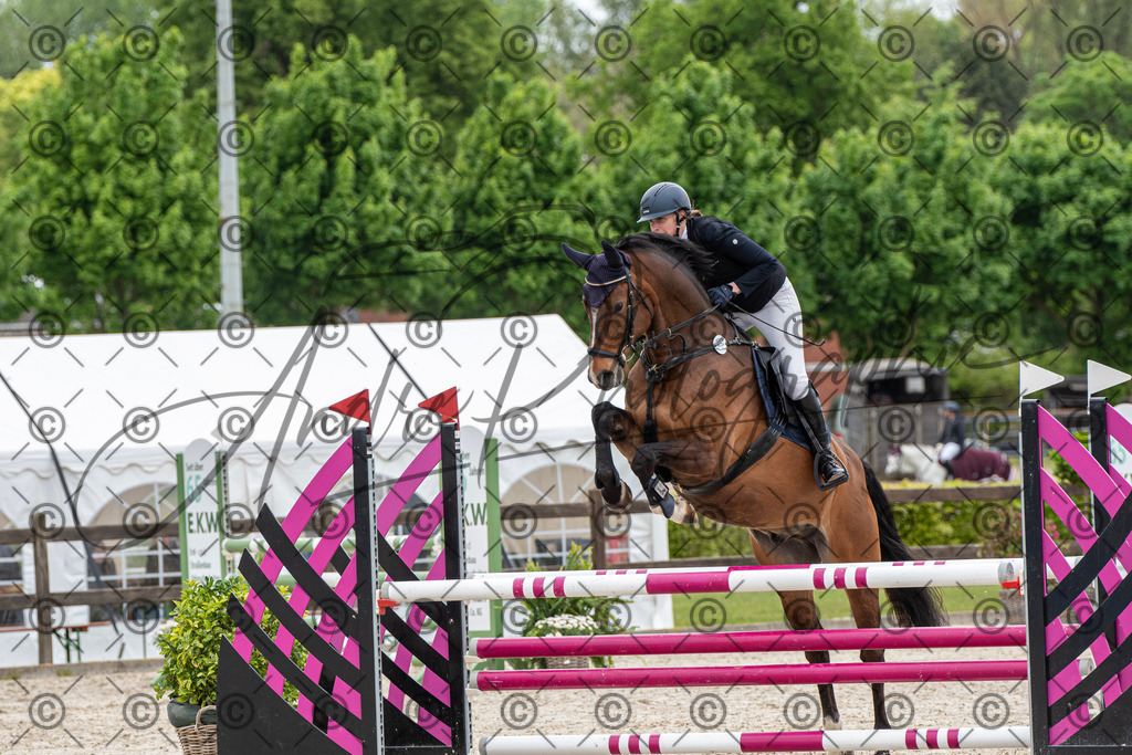 KPT_8413 | andre_photographic