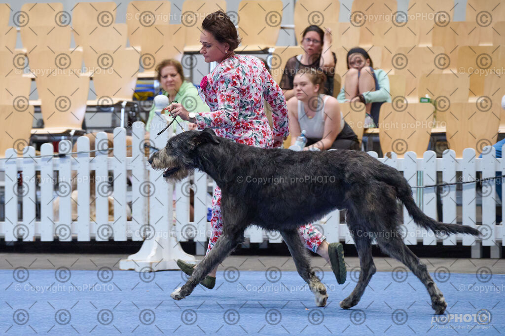 202406_ÖKV-IHA-Tulln24_DSC_5173 | proPHOTO - Realisiert mit Pictrs.com