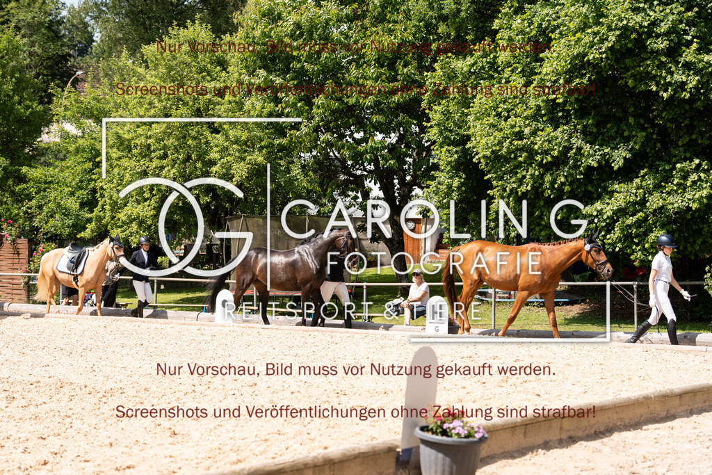 DSC04246 | Turnierfotografin Carolin Gieschke, Turnierfotografie Carolin G Fotografie, Turnierfotos Kirchheim/Teck, Esslingen, Stuttgart, Bodenseekreis