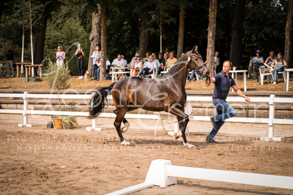 6.Fr00073 | Leoni Ertmer Photography - Realisiert mit Pictrs.com