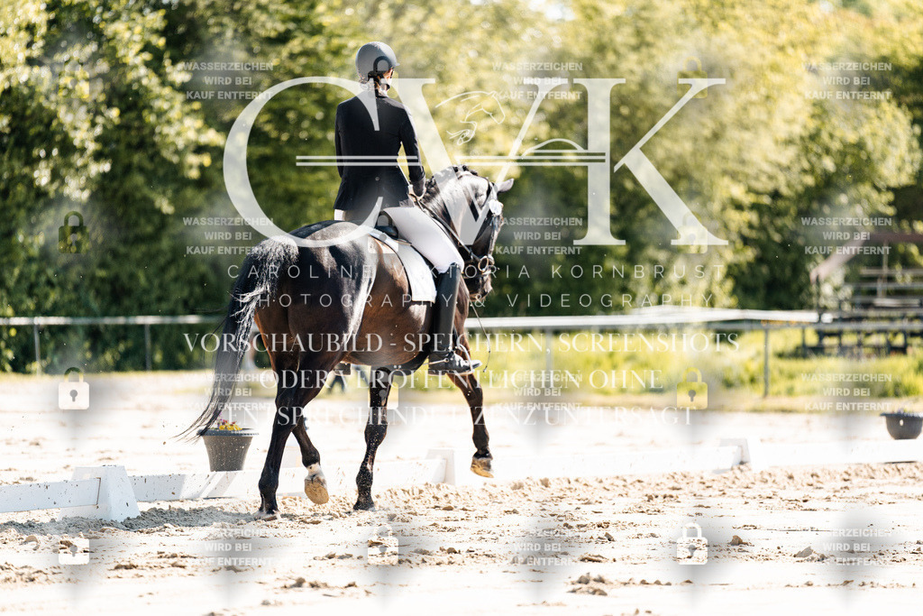 CK909220 | Turnierfotografie Pferdefotografie Trier Rheinland-Pfalz Pferdesport Reitsport Tierfotografie Sportfotografie Pferdevideo Pferdevideografie Equestrianvideography equestrianphotography  - Realisiert mit Pictrs.com
