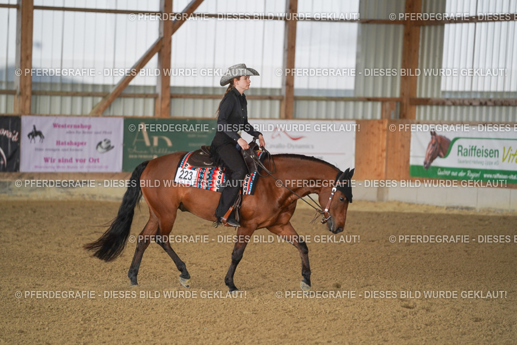 DSC09570 | Pferdegrafie