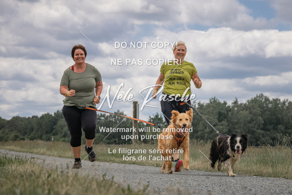 nelerasche_BuHu2026_SaCC1100-1200_255 | nelerasche