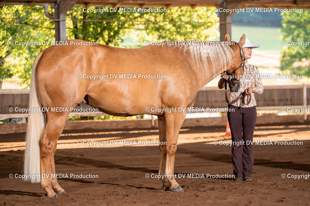 Erbach Tag 3-33 | dv-media-shop - Realisiert mit Pictrs.com