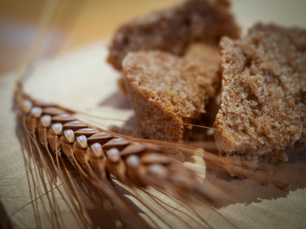 Brot | Rennigenen - Emmer und Einkorn: Wo liegt die Faszination von historischen Getreide- und Brotsorten? Am Hof Lauerhalde in Renningen wird das Getreide nicht nur angebaut, sondern auch gleich gebacken. Im Bild: Emmer Ähre - Realisiert mit Pictrs.com