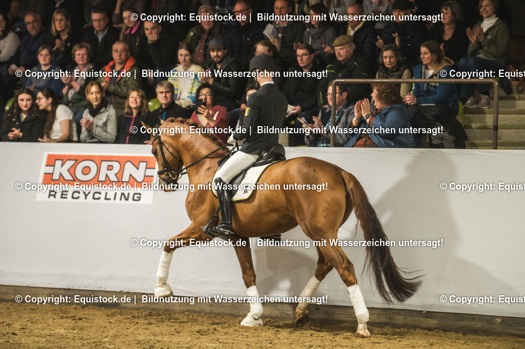 20240302_Hengstvorstellung_Marbach_TOMsPiC_0575-2 | equistock