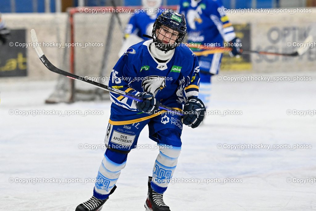 Wildcats Paternion vs. Lady Hawks  | #15 Kircher Valentina LADY HAWKS, Wildcats Paternion vs. Lady Hawks , Wildcats Paternion vs. Lady Hawks  am 27.01.2025 in Spittal an der Drau (Eissportzentrum Spittal), Austria, (Photo by Bernd Stefan)