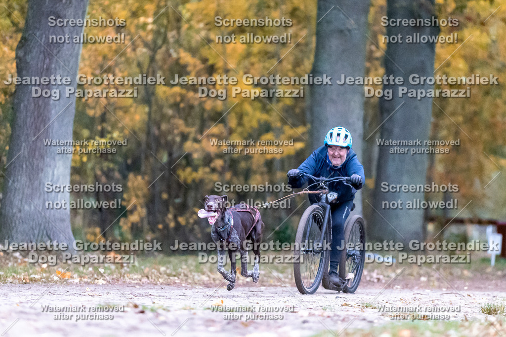 Dog Paparazzi - SD CaniX Championship 2025-9 | Dog Paparazzi Jeanette Grottendiek Fotografie & Videografie - Realisiert mit Pictrs.com