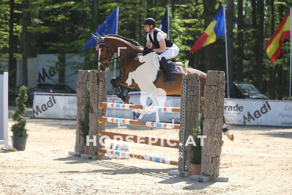 AS8V7191 | Willkommen bei Brunnmayr - Design & Fotografie – Ihrem Spezialisten für Reitturniere und Pferdeveranstaltungen in Oberösterreich, Salzburg und Bayern! Seit über 17 Jahren sind wir leidenschaftlich dabei.