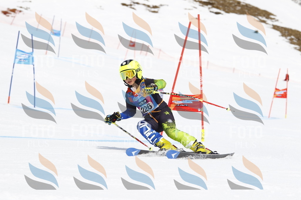 _U3G5837 | holidayphoto