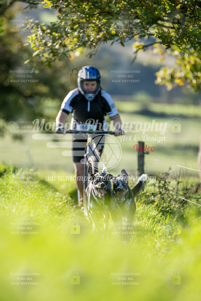 MompixPhotography_20TSB_E3_DS2-35 | PayLife