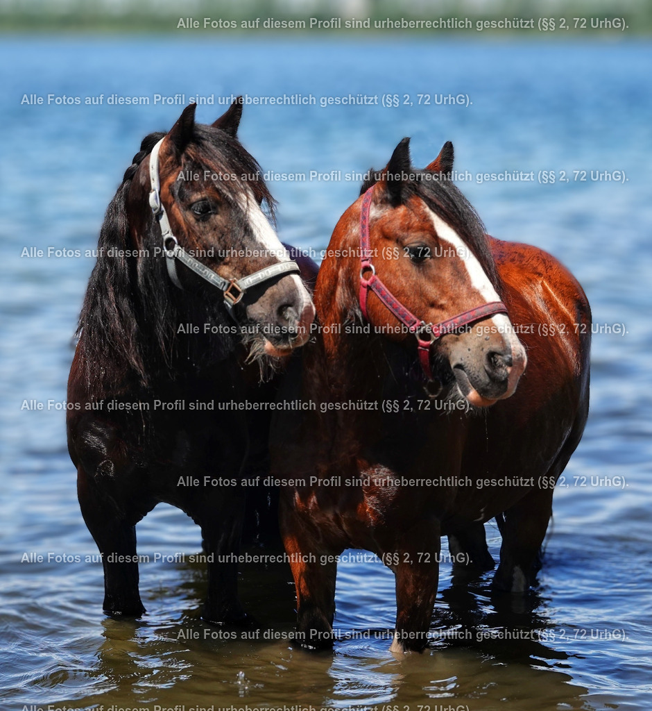 BMF05454a | krollfotografie - Realisiert mit Pictrs.com