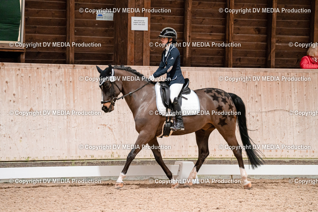 Dressur Tag 2-490 | dv-media-shop - Realisiert mit Pictrs.com