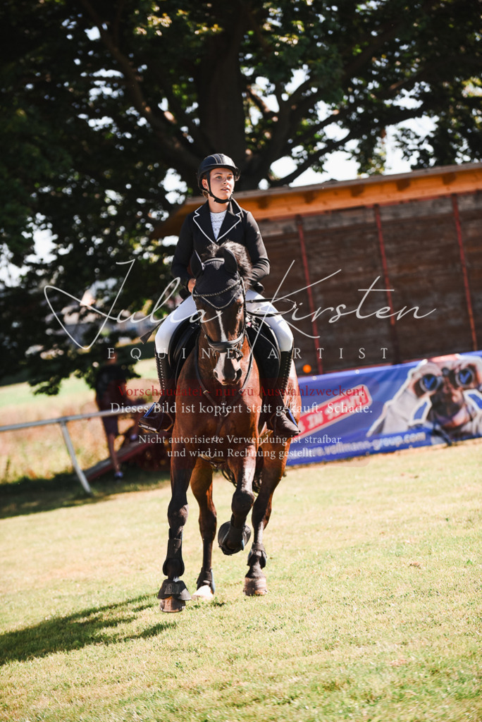 DSC_2502 | Pferde- und Turnierfotografie in Westsachsen. Pferdeportraits, Auftragszeichnungen und intuitive Kunst.