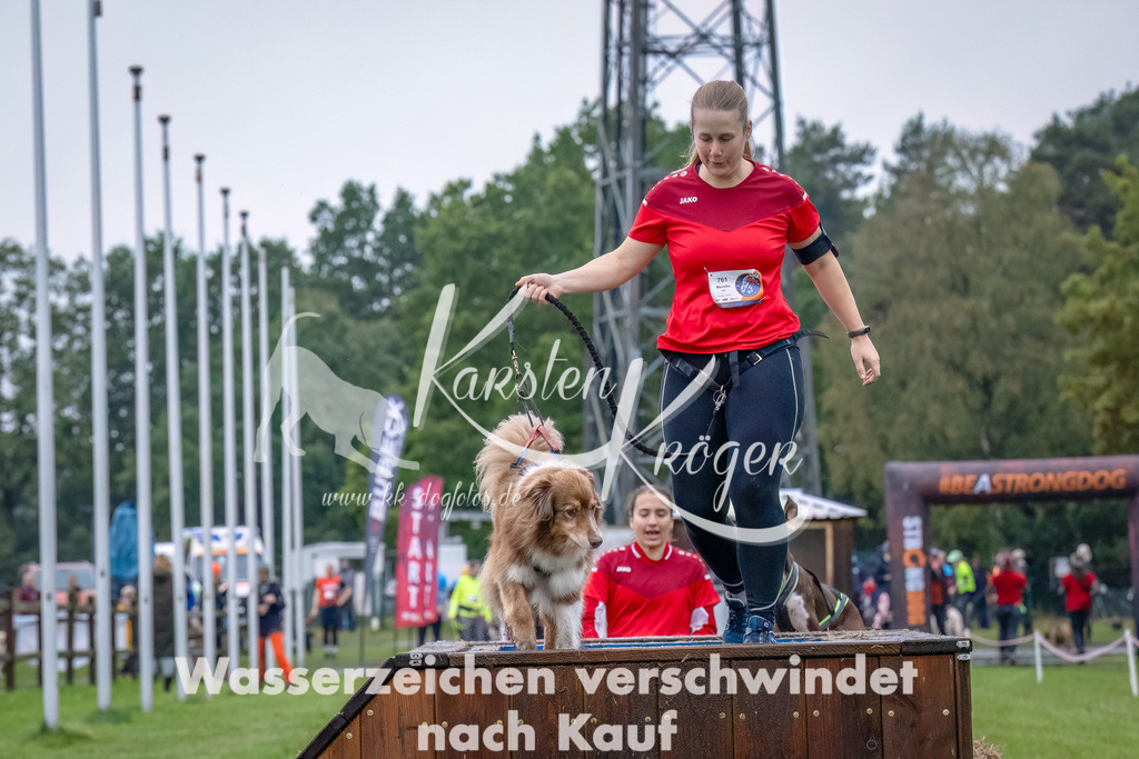 1217--6 | kk-dogfotos
