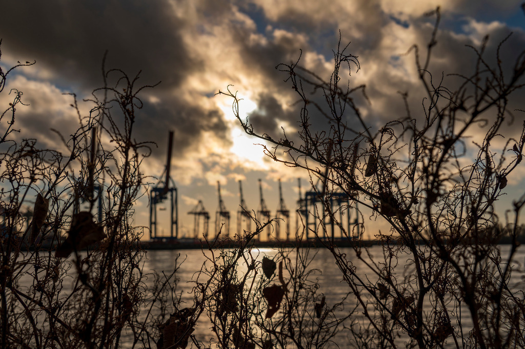 2023_01_08_MCP6426 | Hochwertig gedruckte Fotografien für die Wand, als Kalender und zum Verschenken. Hamburg & Norddeutschland und überall wo ich mit der Kamera unterwegs war.