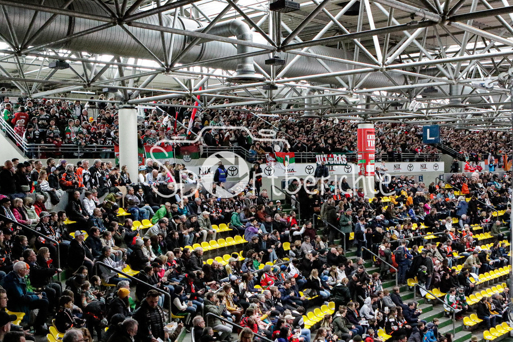 Löwen Frankfurt - Augsburger Panther | Die Fans der Augsburger sind in ordentlicher Anzahl mit nach Frankfurt gekommen