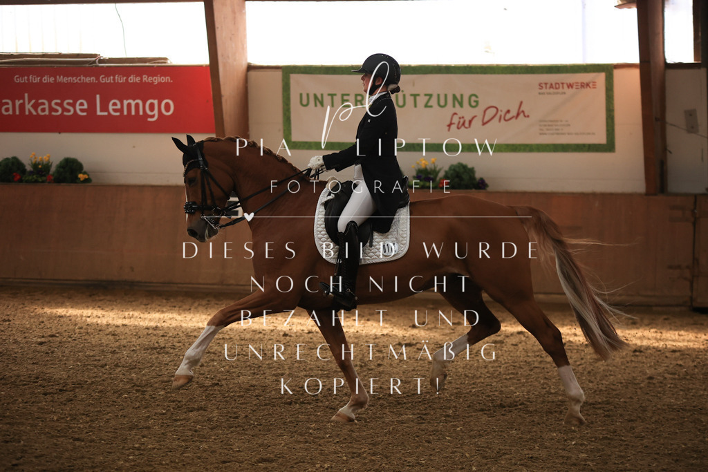 IMGT4643 | pl-fotografie