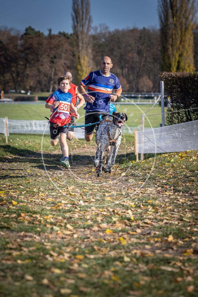 CaniXpix_DV3A7789 | Hundefotografie, Tierfotograf, Pfotenfotografie, Fotoshooting Hund, Hunde Portrait, Hundesport, Hundeportraits, Heideshooting, Hunde, Sportfotograf, Hundefotograf, Turnierhundsport, THS,  - Realisiert mit Pictrs.com